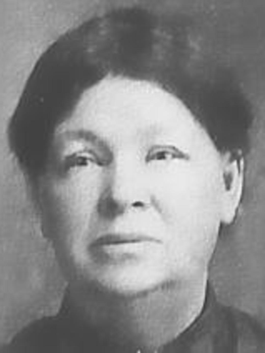Mary Matilda Watkins (1849 - 1907) Profile